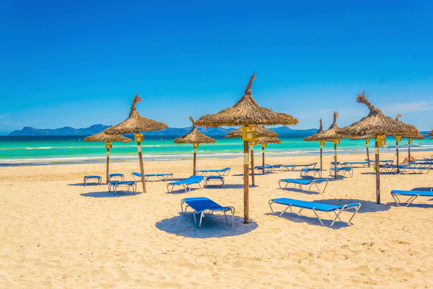Onvergetelijk Giftig Precies Vakantie Mallorca - Goedkoop te boeken bij | FTI